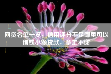 网贷名单一览，信用评分不足哪里可以借钱小额贷款，拿走不谢