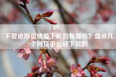 不管逾期负债能下款的有哪些？盘点几个网贷平台好下款的