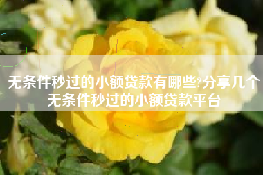 无条件秒过的小额贷款有哪些?分享几个无条件秒过的小额贷款平台
