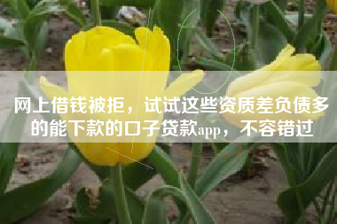 网上借钱被拒，试试这些资质差负债多的能下款的口子贷款app，不容错过