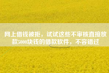 网上借钱被拒，试试这些不审核直接放款5000块钱的借款软件，不容错过