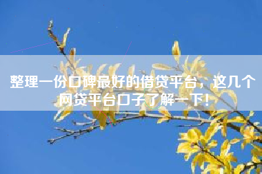 整理一份口碑最好的借贷平台，这几个网贷平台口子了解一下！