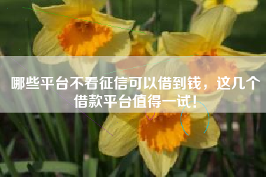 哪些平台不看征信可以借到钱，这几个借款平台值得一试！