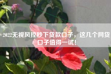 2022无视风控秒下贷款口子，这几个网贷口子值得一试！