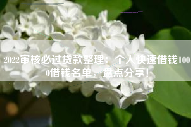 2022审核必过贷款整理：个人快速借钱1000借钱名单，盘点分享！
