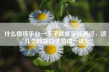什么借钱平台一下子就能审核通过，这几个网贷口子值得一试！