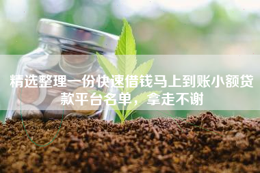 精选整理一份快速借钱马上到账小额贷款平台名单，拿走不谢