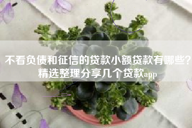 不看负债和征信的贷款小额贷款有哪些？精选整理分享几个贷款app