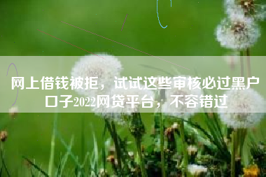 网上借钱被拒，试试这些审核必过黑户口子2022网贷平台，不容错过