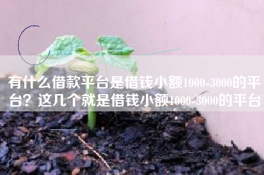 有什么借款平台是借钱小额1000-3000的平台？这几个就是借钱小额1000-3000的平台