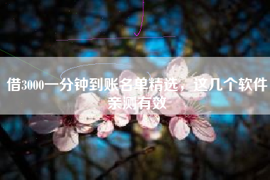 借3000一分钟到账名单精选，这几个软件亲测有效