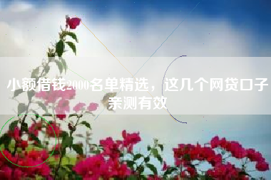 小额借钱2000名单精选，这几个网贷口子亲测有效