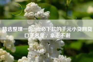 精选整理一份2022必下款的千元小贷网贷口子名单，拿走不谢