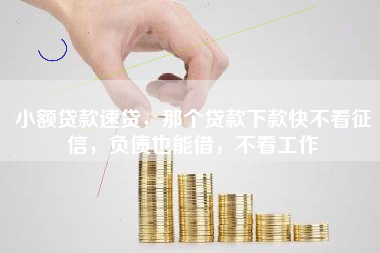 小额贷款速贷，那个贷款下款快不看征信，负债也能借，不看工作