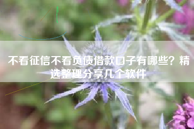 不看征信不看负债借款口子有哪些？精选整理分享几个软件