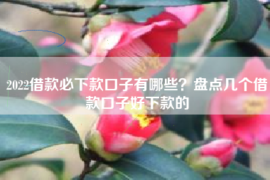 2022借款必下款口子有哪些？盘点几个借款口子好下款的