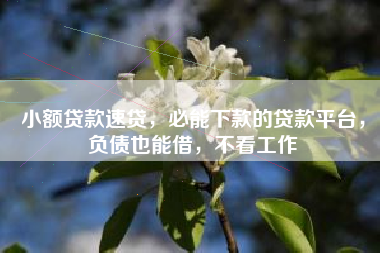 小额贷款速贷，必能下款的贷款平台，负债也能借，不看工作