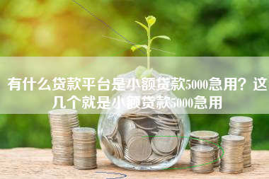 有什么贷款平台是小额贷款5000急用？这几个就是小额贷款5000急用
