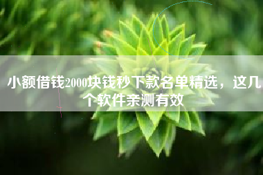小额借钱2000块钱秒下款名单精选，这几个软件亲测有效