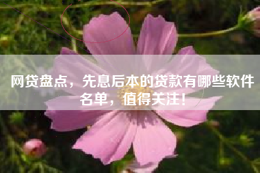网贷盘点，先息后本的贷款有哪些软件名单，值得关注！