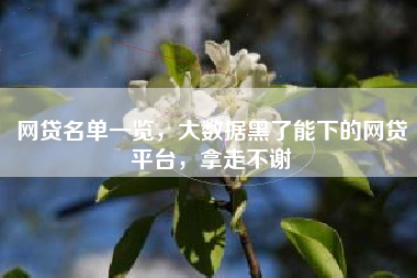 网贷名单一览，大数据黑了能下的网贷平台，拿走不谢