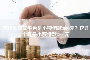 有什么贷款平台是小额借款3000元？这几个就是小额借款3000元