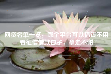 网贷名单一览，哪个平台可以借钱不用看征信借款口子，拿走不谢