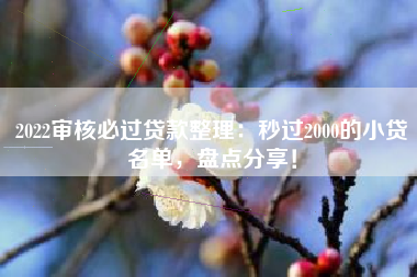 2022审核必过贷款整理：秒过2000的小贷名单，盘点分享！