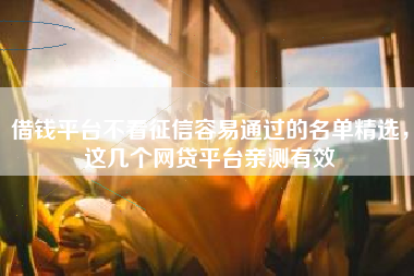 借钱平台不看征信容易通过的名单精选，这几个网贷平台亲测有效