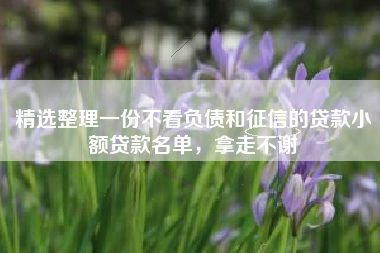 精选整理一份不看负债和征信的贷款小额贷款名单，拿走不谢