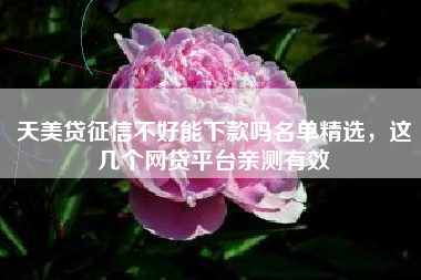 天美贷征信不好能下款吗名单精选，这几个网贷平台亲测有效