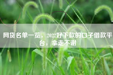 网贷名单一览，2022好下款的口子借款平台，拿走不谢