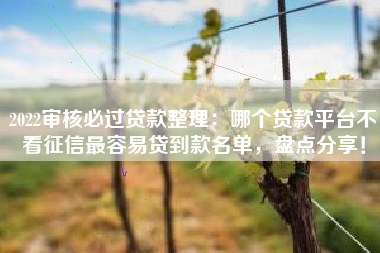 2022审核必过贷款整理：哪个贷款平台不看征信最容易贷到款名单，盘点分享！