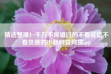 精选整理！千万不能错过的不看征信不看负债的小额网贷网贷app