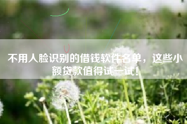 不用人脸识别的借钱软件名单，这些小额贷款值得试一试！