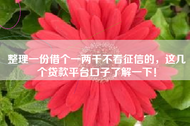 整理一份借个一两千不看征信的，这几个贷款平台口子了解一下！