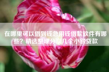 在哪里可以借到钱急用钱借款软件有哪些？精选整理分享几个小额贷款