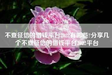 不查征信的借钱平台2022有哪些?分享几个不查征信的借钱平台2022平台