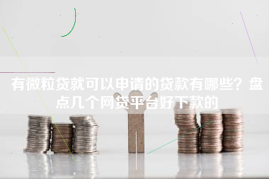 有微粒贷就可以申请的贷款有哪些？盘点几个网贷平台好下款的