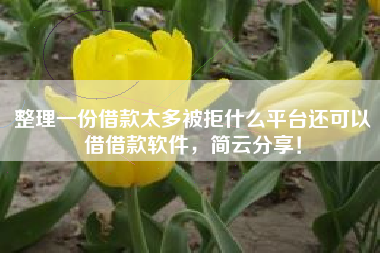 整理一份借款太多被拒什么平台还可以借借款软件，简云分享！