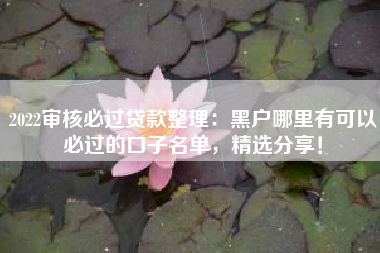 2022审核必过贷款整理：黑户哪里有可以必过的口子名单，精选分享！