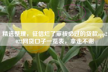 精选整理，征信烂了审核必过的贷款app2022网贷口子一览表，拿走不谢