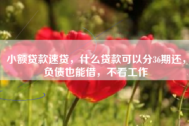 小额贷款速贷，什么贷款可以分36期还，负债也能借，不看工作