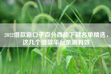 2022借款新口子百分百能下款名单精选，这几个借款平台亲测有效