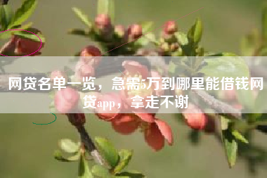 网贷名单一览，急需5万到哪里能借钱网贷app，拿走不谢