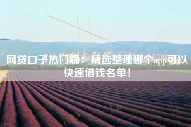 网贷口子热门篇：精选整理哪个app可以快速借钱名单！