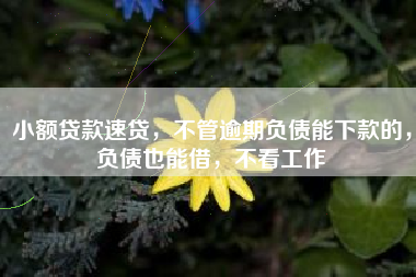 小额贷款速贷，不管逾期负债能下款的，负债也能借，不看工作