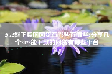 2022能下款的网贷有哪些有哪些?分享几个2022能下款的网贷有哪些平台