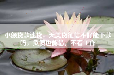 小额贷款速贷，天美贷征信不好能下款吗，负债也能借，不看工作