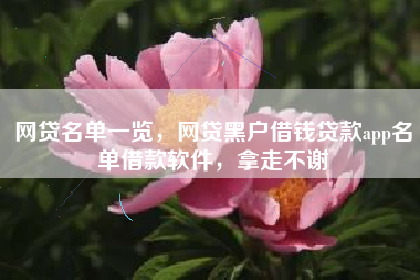 网贷名单一览，网贷黑户借钱贷款app名单借款软件，拿走不谢